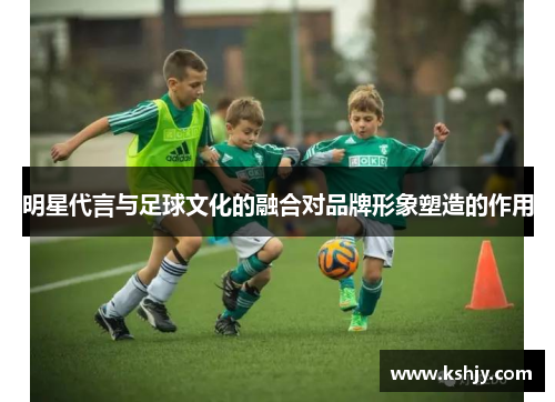 明星代言与足球文化的融合对品牌形象塑造的作用